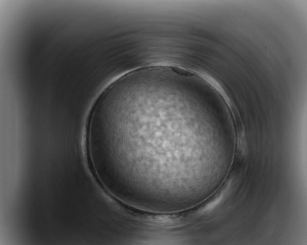 X0000088381149200705291342