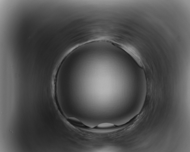 X0000088381151200705291342