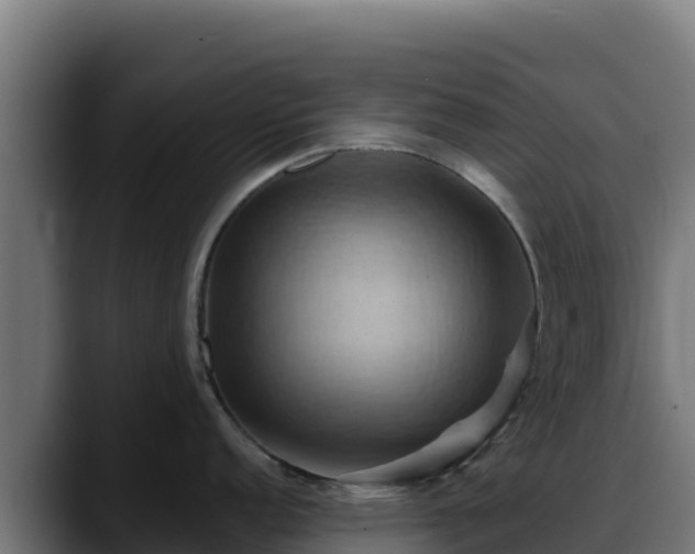 X0000088381152200705291343
