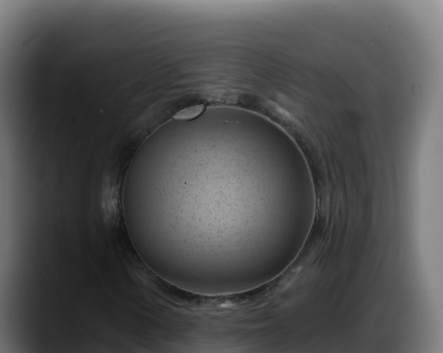 X0000088381154200705291342