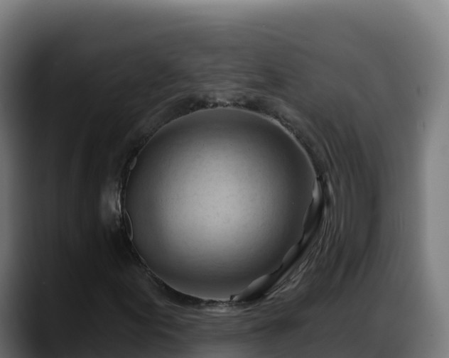 X0000088381155200705291342