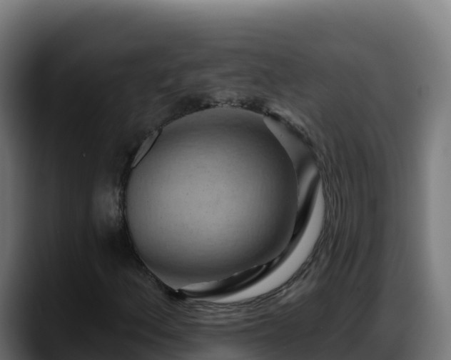 X0000088381156200705291342