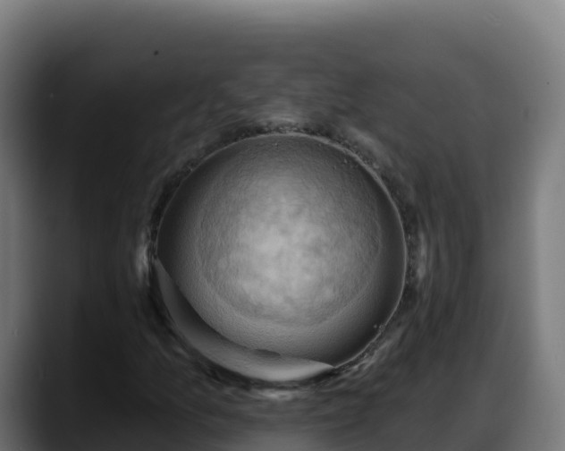 X0000088381157200705291342