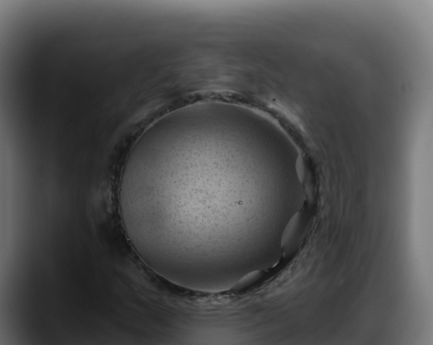 X0000088381159200705291342