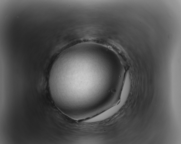 X0000088381160200705291342
