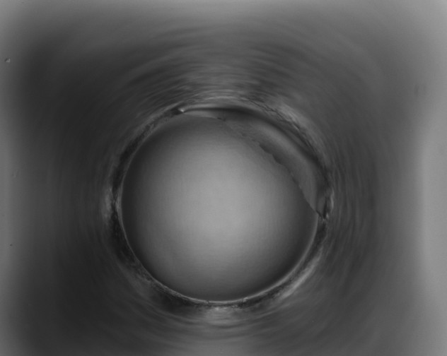 X0000088381161200705291342