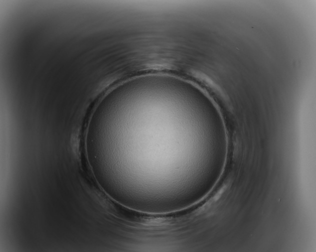 X0000088381162200705291342