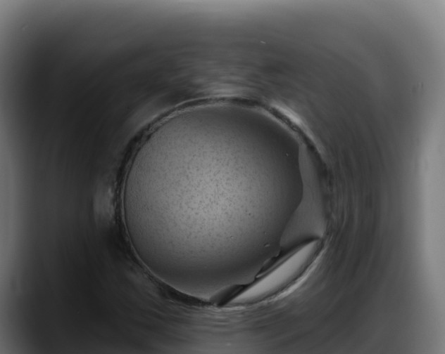 X0000088381163200705291342