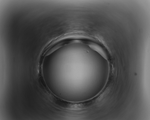 X0000088381165200705291342