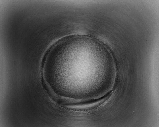 X0000088381168200705291342