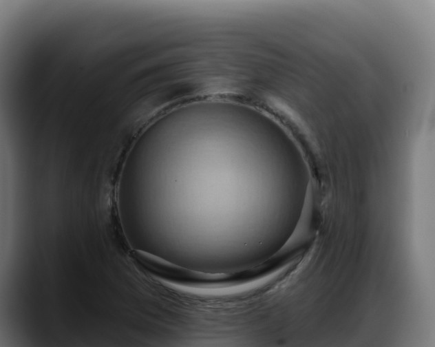 X0000088381169200705291342