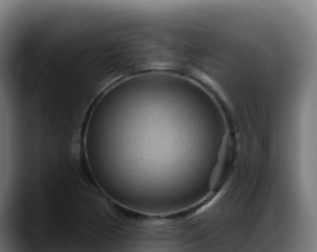 X0000088381170200705291342