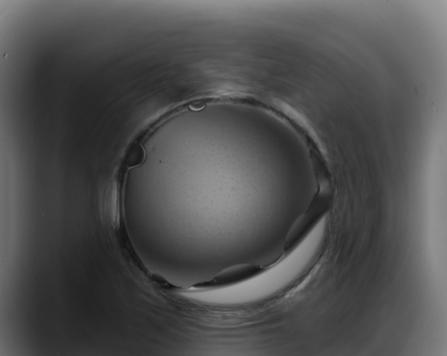X0000088381171200705291342