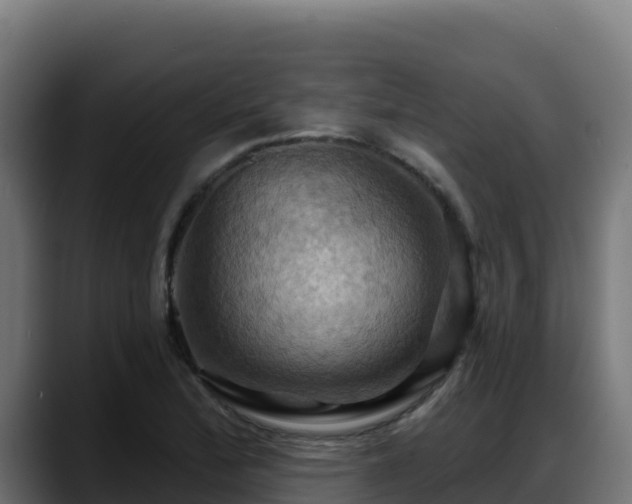 X0000088381172200705291342
