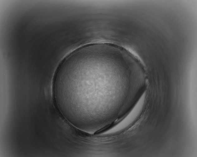 X0000088381173200705291342