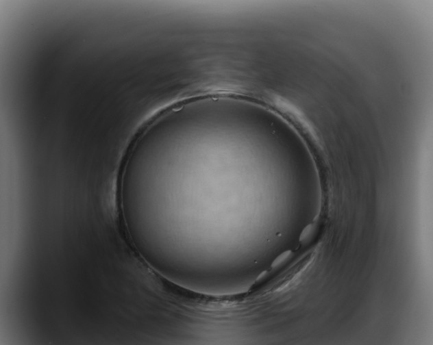 X0000088381174200705291342