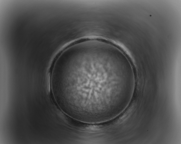 X0000088381175200705291342