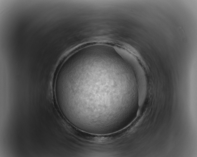 X0000088381176200705291342