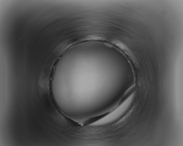 X0000088381177200705291342