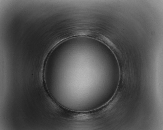 X0000088381178200705291342