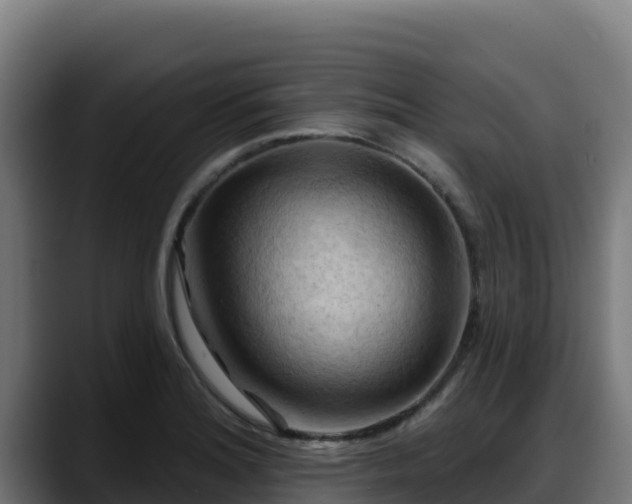 X0000088381180200705291342
