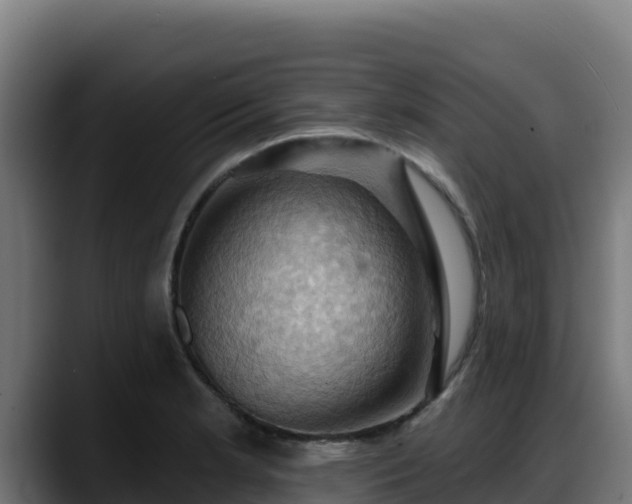X0000088381181200705291342