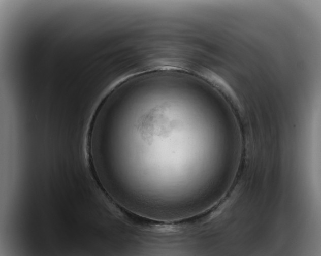 X0000088381182200705291342