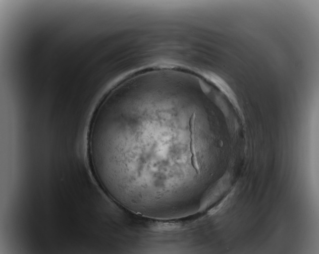 X0000088381183200705291341