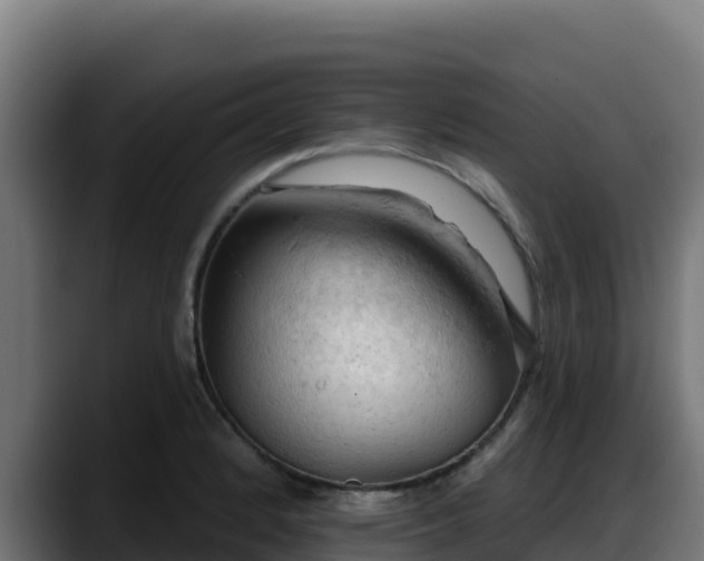 X0000088381184200705291341