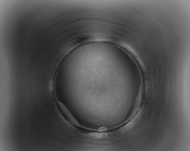 X0000088381185200705291341