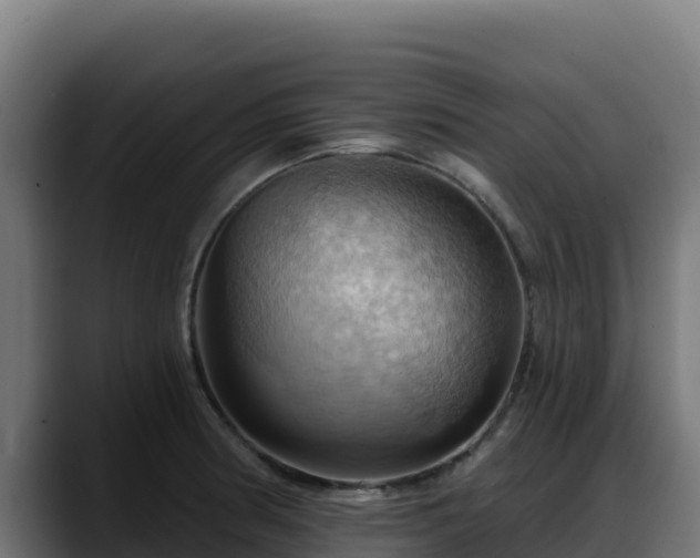 X0000088381186200705291341