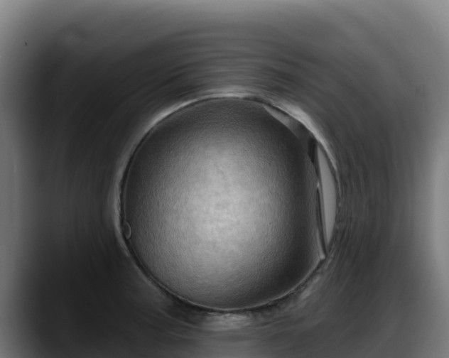 X0000088381187200705291341