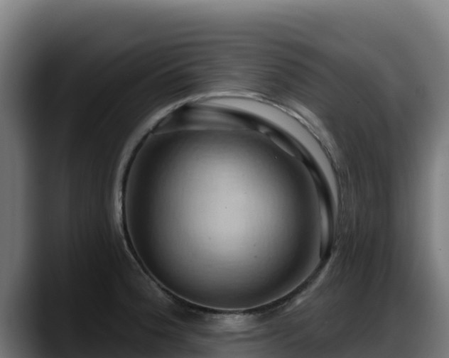 X0000088381188200705291341