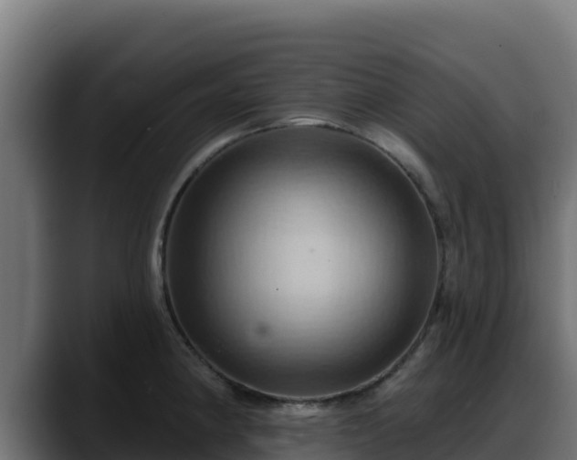 X0000088381190200705291341