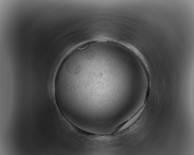 X0000088381191200705291341