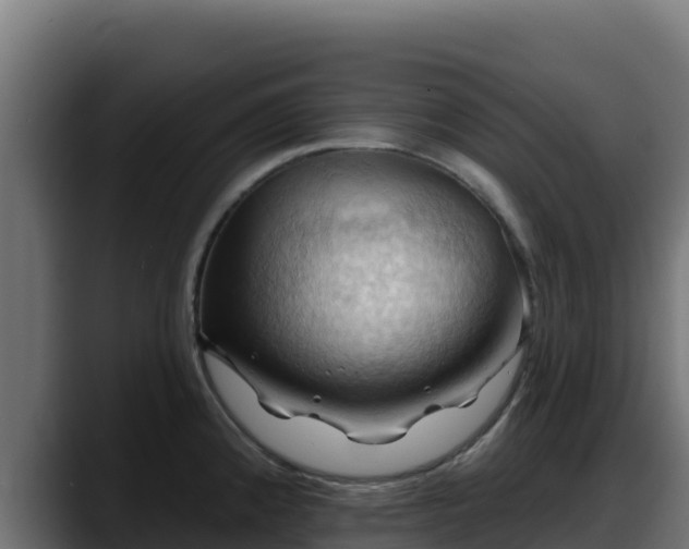 X0000088381192200705291341