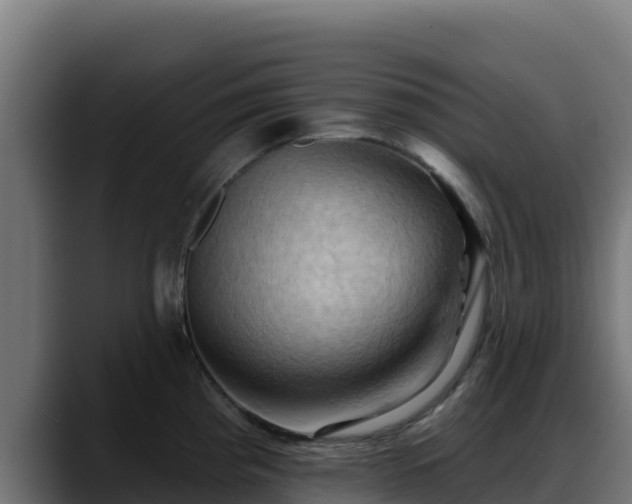 X0000088381193200705291341