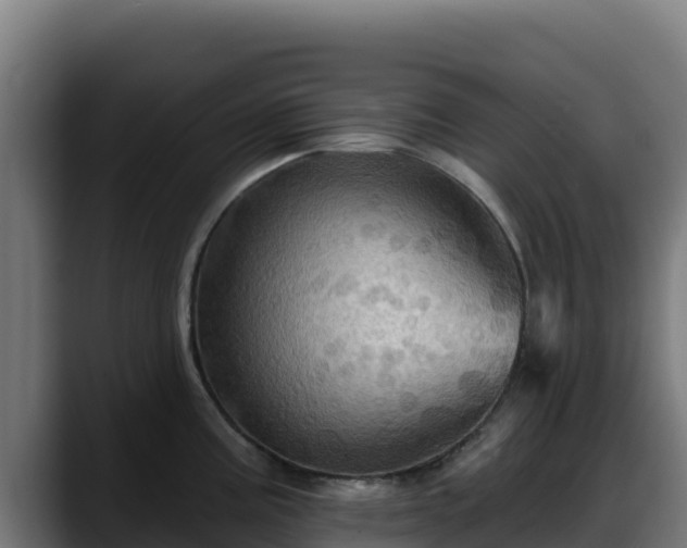 X0000088381195200705291341