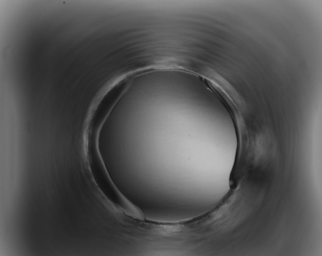 X0000088381196200705291341
