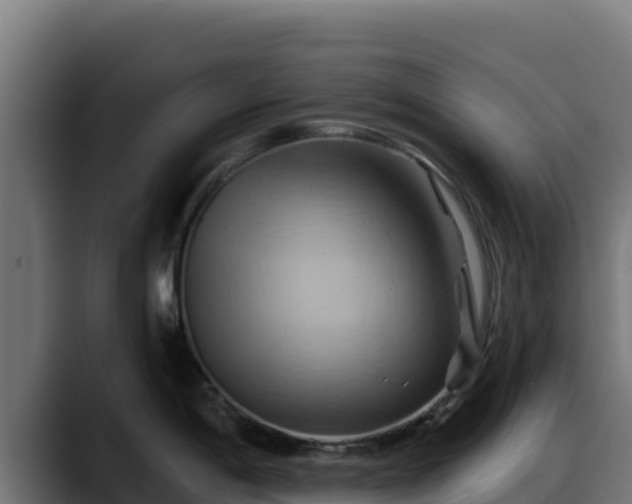 X0000088381198200705291341