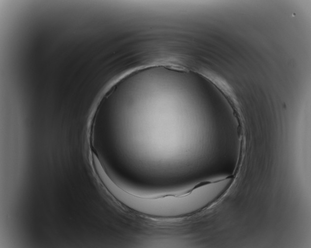 X0000088381200200705291341