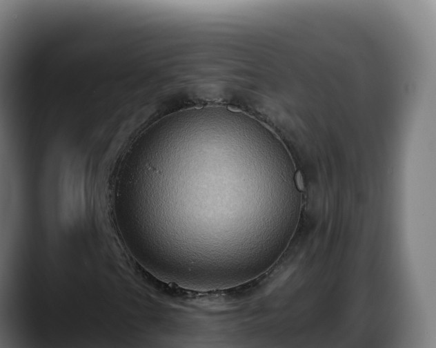 X0000088381201200705291341