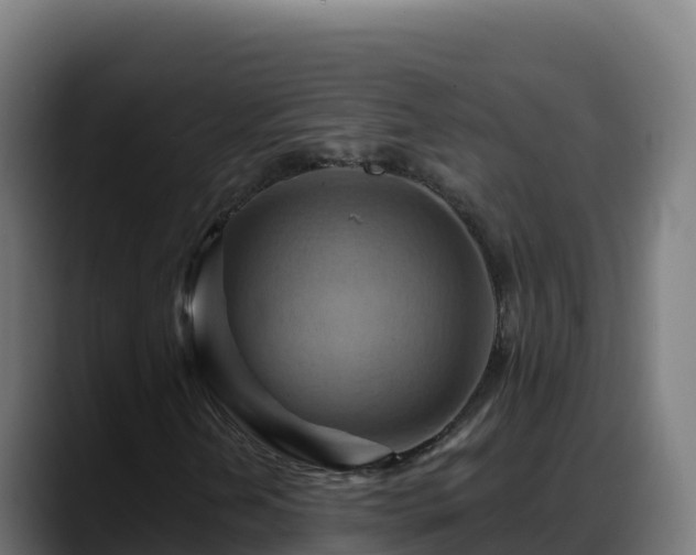X0000088381202200705291341