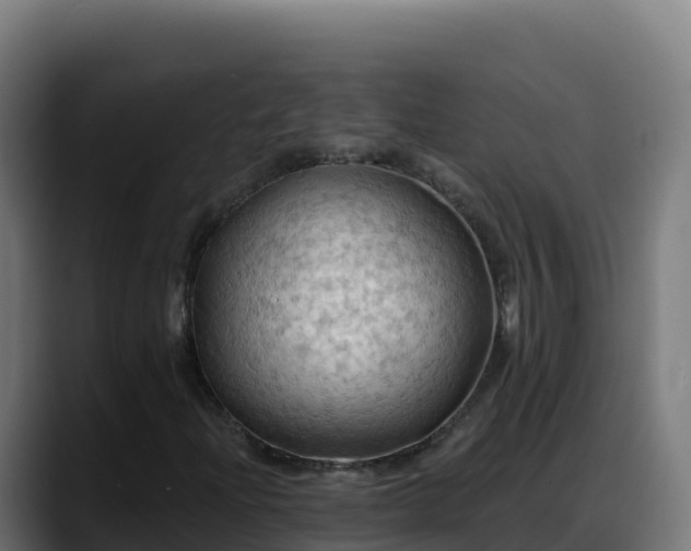 X0000088381204200705291341