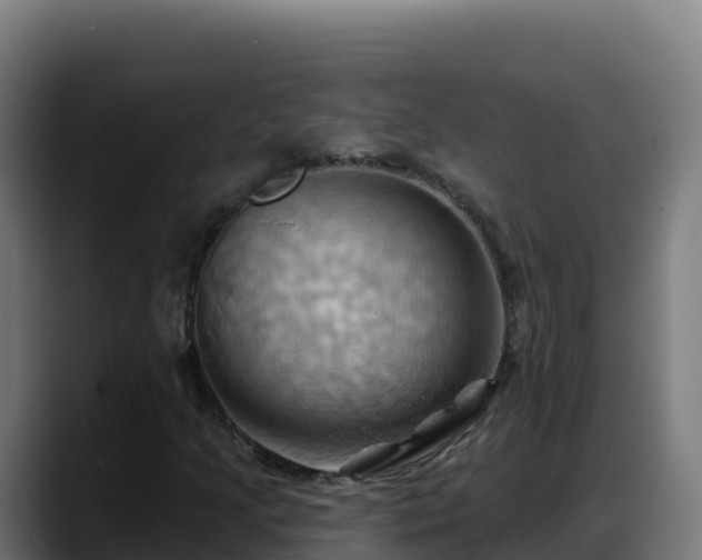 X0000088381205200705291341