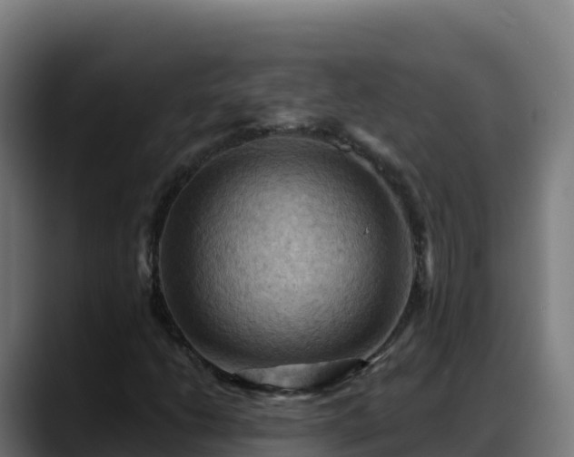 X0000088381206200705291341