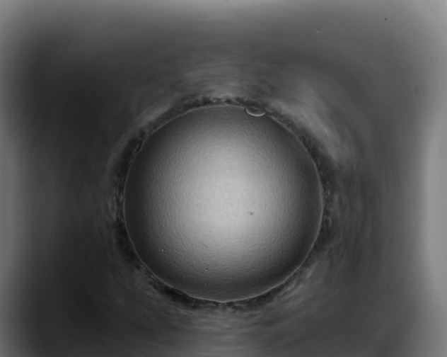 X0000088381207200705291341