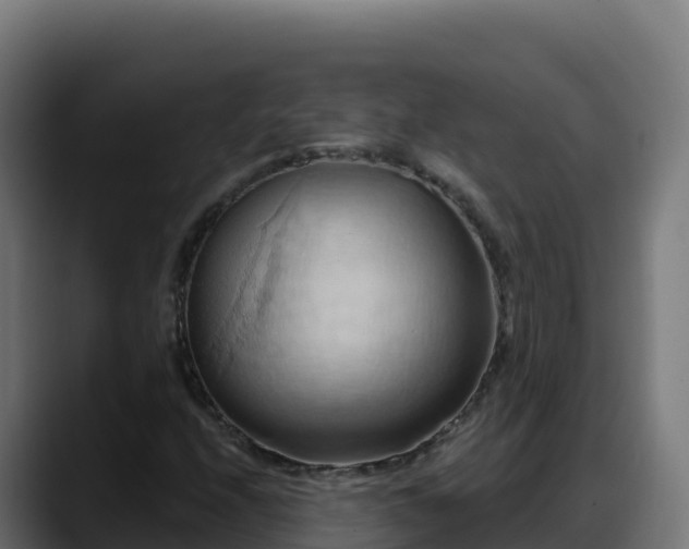 X0000088381208200705291341