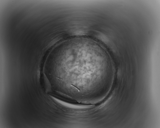 X0000088381209200705291341
