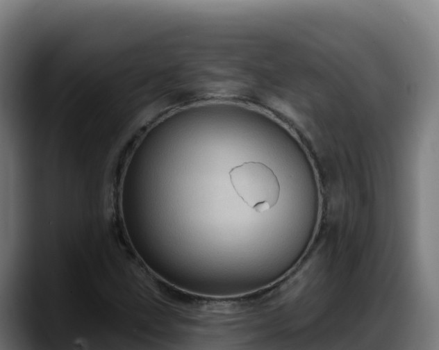 X0000088381211200705291341